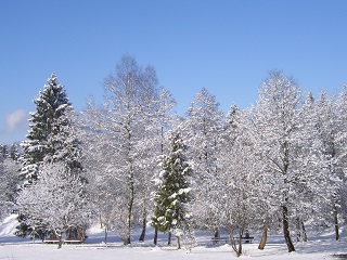 Foto vom Winter 2015/2016